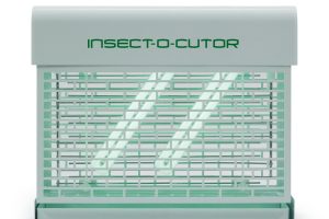 7522-Focus-F2